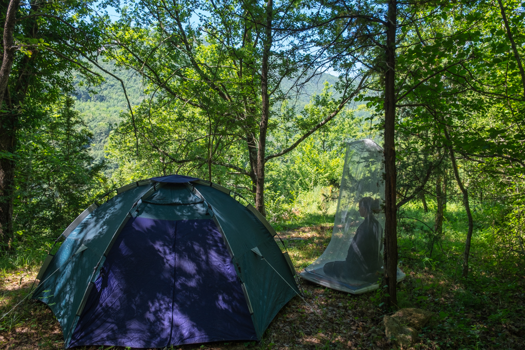 Tents