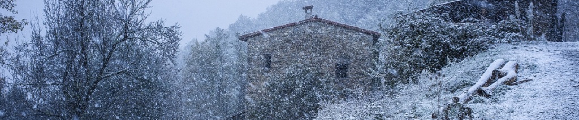 Sneeuwbanner